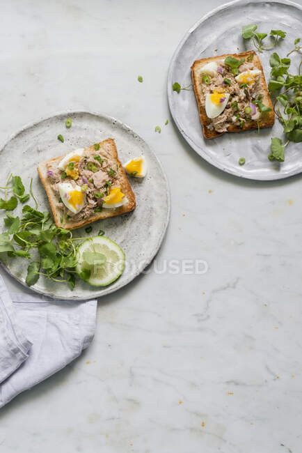Крупным планом вкусный сэндвич с яйцом и тунцом — стоковое фото