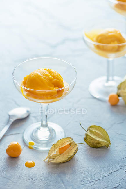 Mango sorbet with mango sauce and physalis berry — Fotografia de Stock