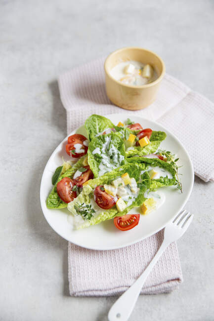 Cos Salat mit Tomaten und Zucchini — Stockfoto