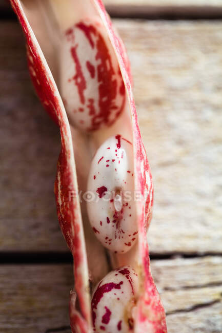 Freshly harvested beans on wooden table — Stock Photo