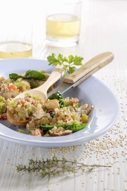 Jambalaya mit Quinoa, Tofu, Pilzen und Gemüse — Stockfoto