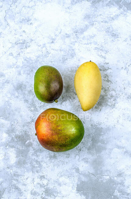 Три манго различных сортов, выкладывается в треугольник на бетонном фоне — стоковое фото
