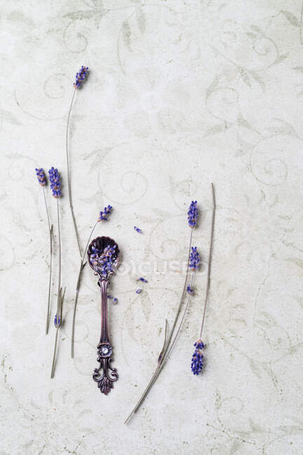 Lavender flowers on a spoon — Stock Photo