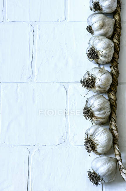 Braided dry garlic on a white background — Fotografia de Stock