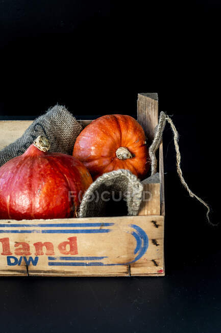 Two Hokkaido pumpkins in a vegetable box — Stock Photo