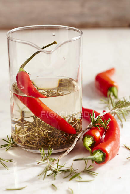Homemade tequila and rosemary vinegar with fresh red chili — Stock Photo