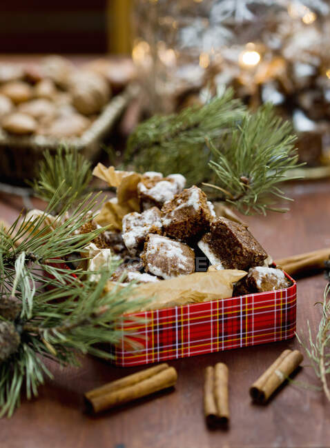 Biscuits au pain d'épice en boîte avec branches de pin et bâtonnets de cannelle — Photo de stock