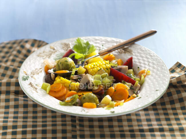 Close-up shot of Vegetable stew with corn on the cob - foto de stock
