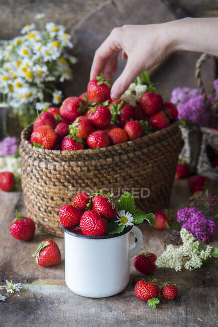 Fresas en la cesta - foto de stock