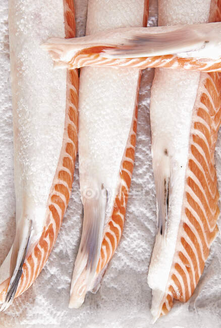 Filetes de salmão em bruto para produção de caldo de peixe — Fotografia de Stock