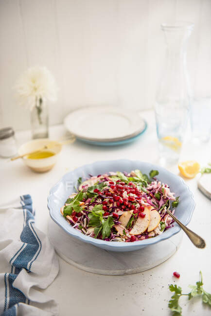 Crunchy red and white cabbage salad with apple, pomegranate, coriander and cider honey vinaigrette — Stock Photo