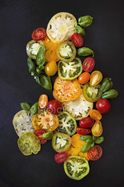 Tomato and basil still life — Stock Photo