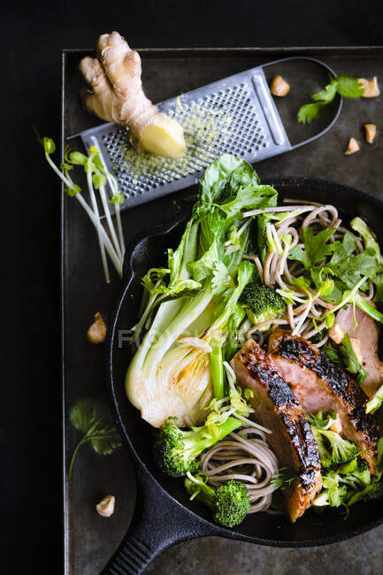 Roasted duck breast with soba noodles, vegetables, cilantro and peanuts in a cast-iron pan - foto de stock