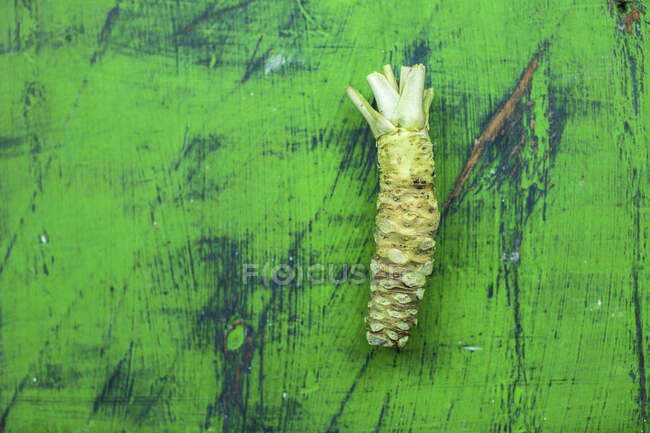 Close-up shot of delicious Japanese wasabi root — Stock Photo
