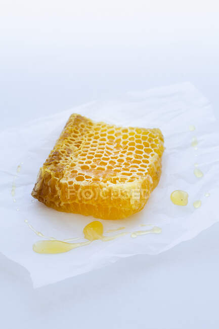 Honeycomb on sandwich paper — Stock Photo