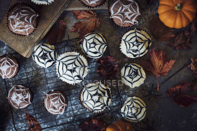 Cobweb торты на Хэллоуин с мини-тыквами — стоковое фото