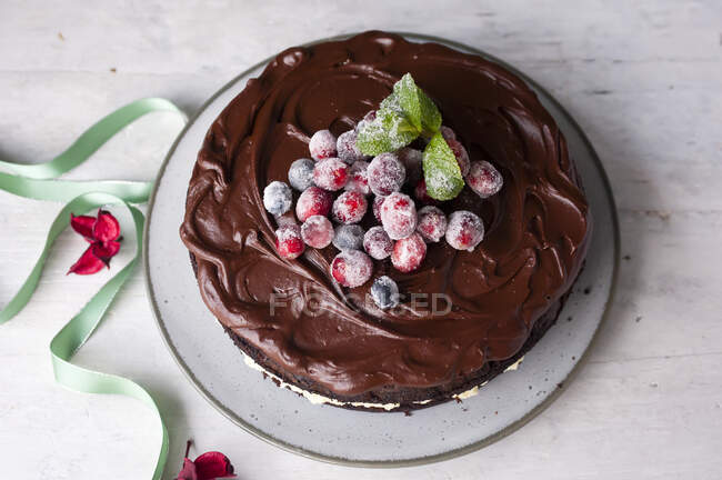 Schokoladenkuchen mit Frosted Beeren — Stockfoto