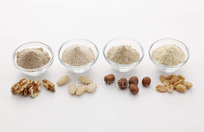 Various types of nut flour — Foto stock