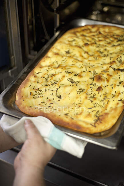Freshly cooked Foccaia coming out of the oven — Stock Photo