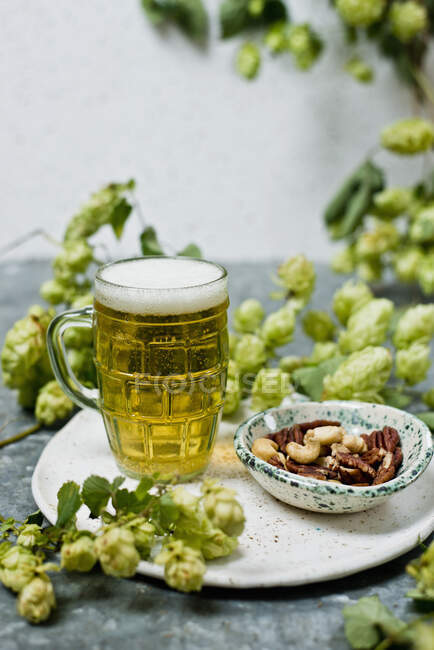 A mug of light beer with nuts and hops — Stock Photo