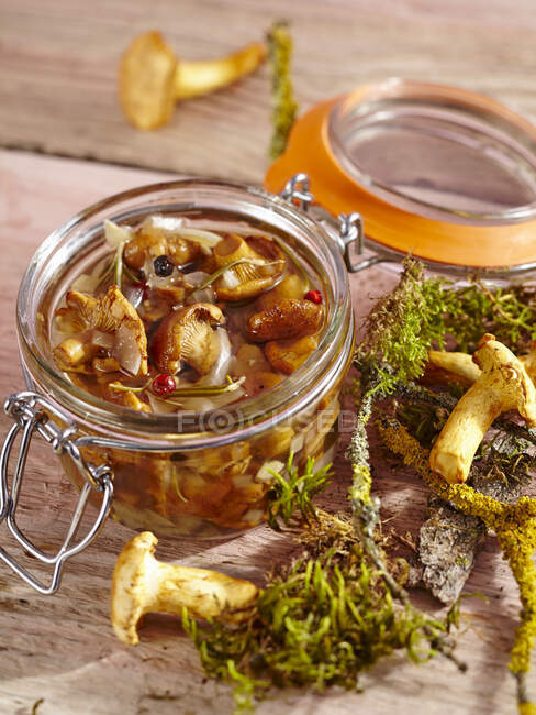 Cogumelos Chanterelle colhidos em vinagre com alho, ervas e especiarias — Fotografia de Stock