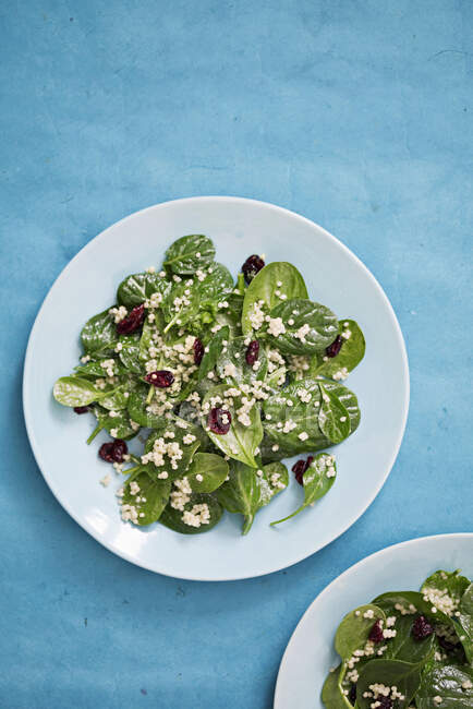 Quinoa, cranberry and spinach salad from above — Stock Photo