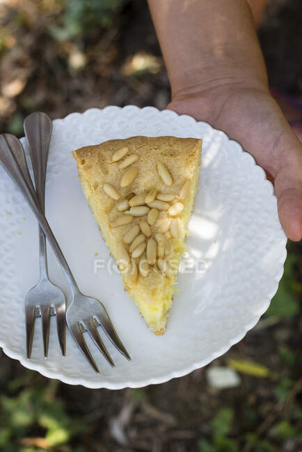 A piece of pine nut cake — Stock Photo