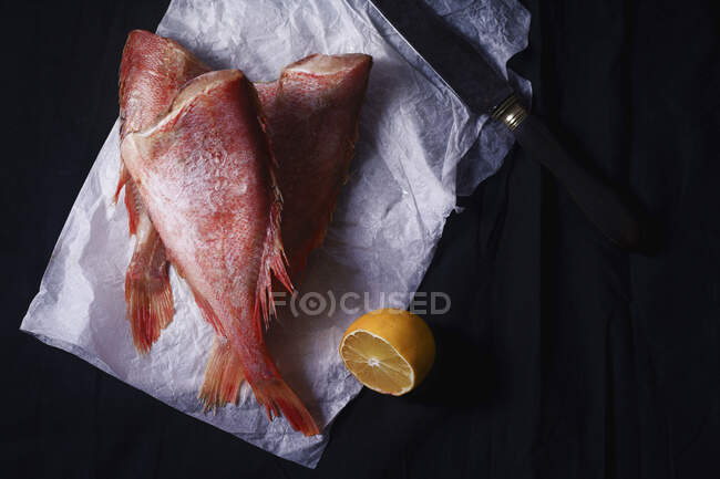 Сырая сырая сырая рыба на черном фоне с лимоном — стоковое фото