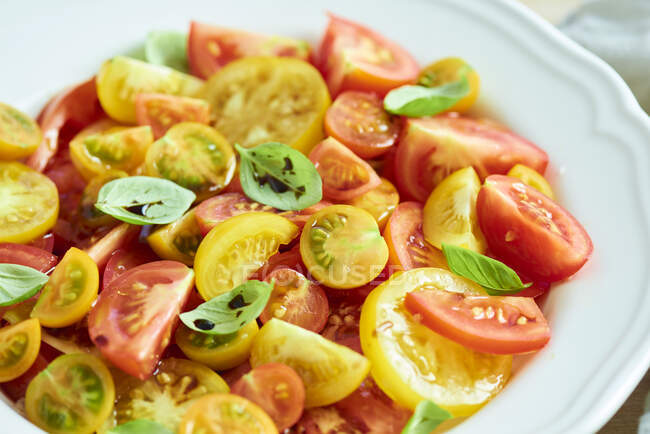 Bunter Tomatensalat mit Basilikum, Öl und Balsamico-Essig — Stockfoto