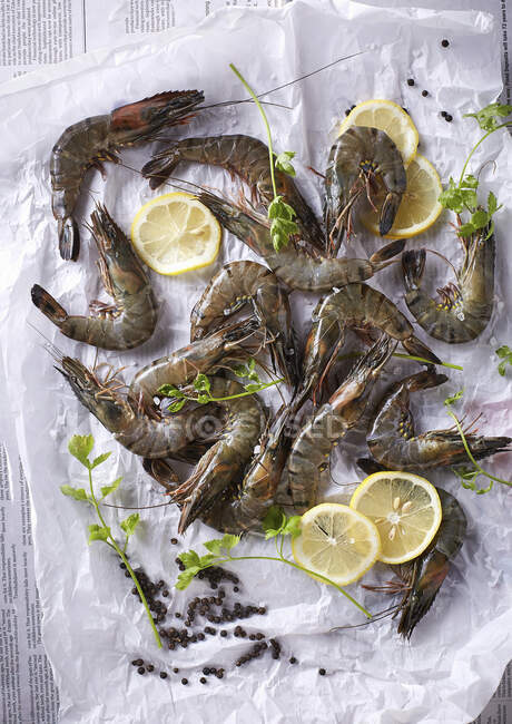 Fresh Tiger Prawns and lemon slices placed on parchment paper — Stock Photo