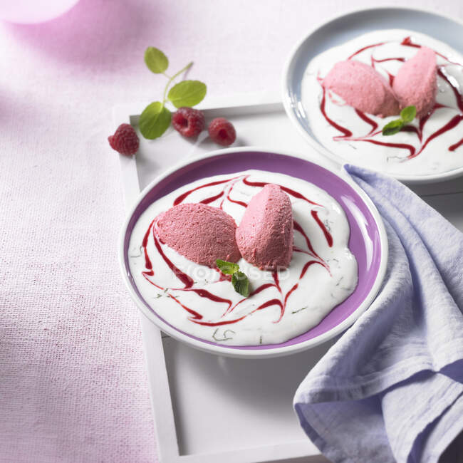 Champagne and raspberry mousse on mint and yoghurt sauce with raspberry puree — Stock Photo