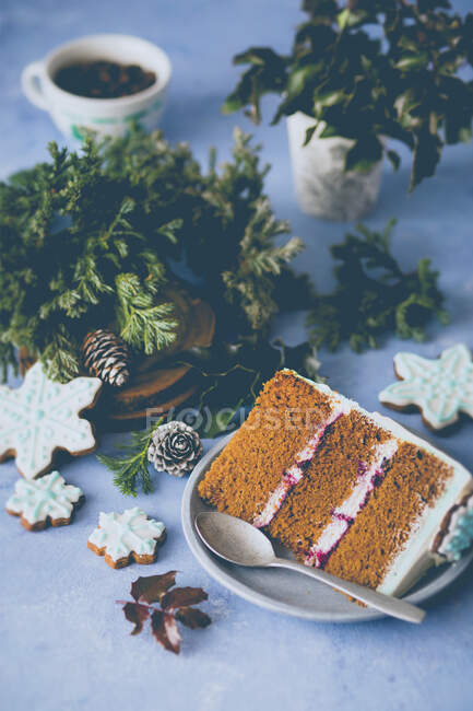 Slice of a gingerbread layer cake — Stock Photo