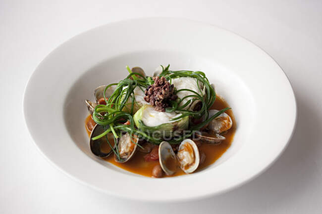 Рагу из морепродуктов на белой тарелке — стоковое фото