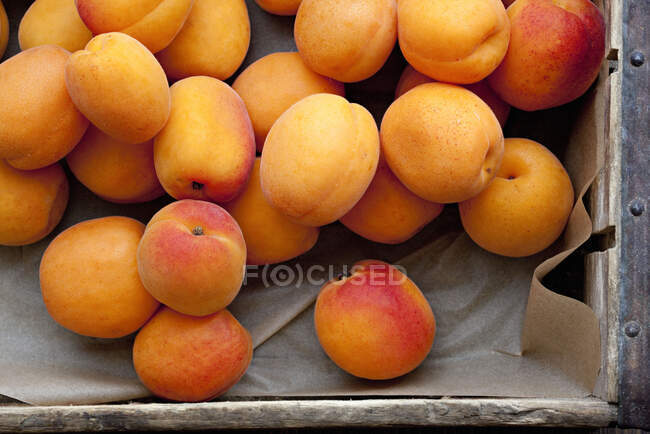 Aprikosen (füllen das Bild) — Stockfoto