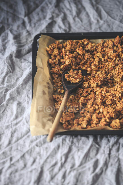 Homemade granola on a baking tray — Stock Photo