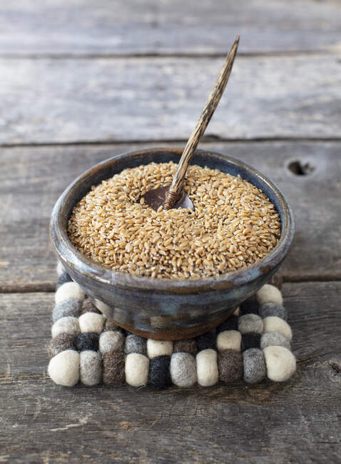Einkorn grain in the bowl — Stock Photo