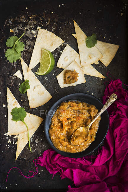 Chilli fava bean dip with toasted tortilla wraps — Stock Photo