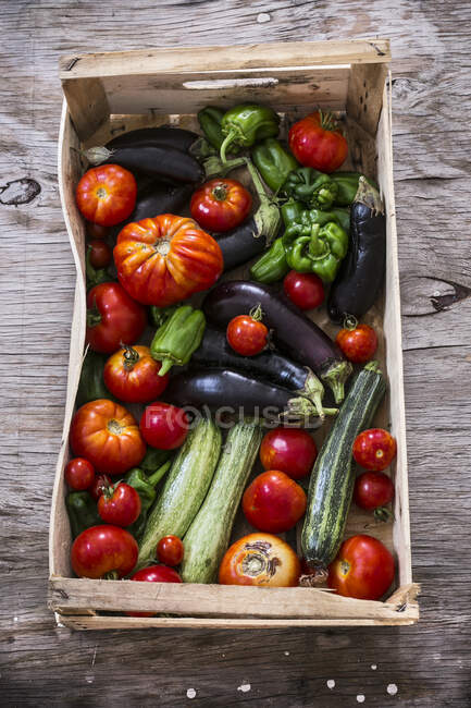 Літній урожай овочів у коробці — стокове фото