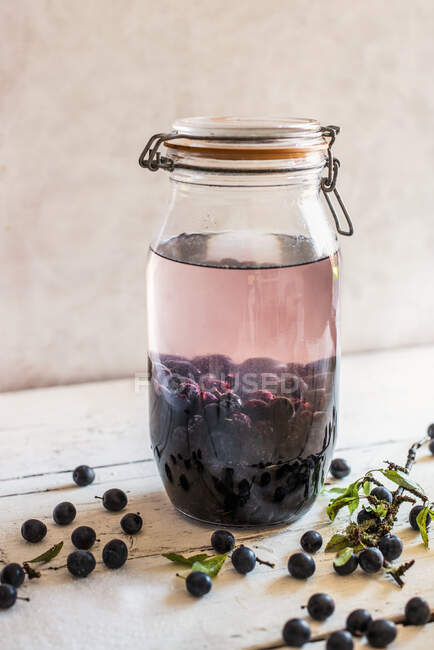 Sloe Gin - frisch gepflückte Schlehen-Beeren im Glas mit Zucker und Gin — Stockfoto