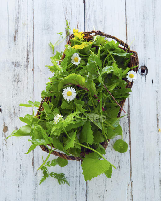 Wild herbs and flowers in basket on wooden surface — Stock Photo