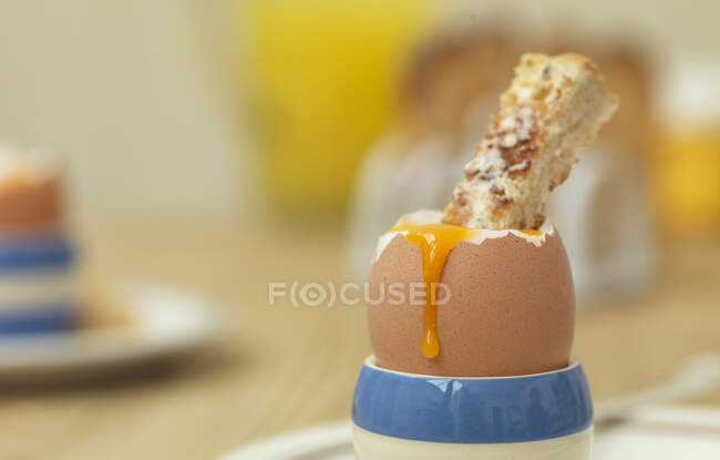 Вареное яйцо с тостами — стоковое фото