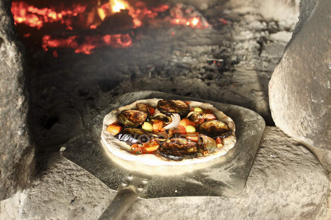 Pizza di melanzane con funghi, olive, peperoncino, cipolla rossa e guarnizione di carote arrosto — Foto stock