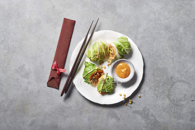 Китайская капустная рулет с чечевичной капустой и копченым лососем — стоковое фото