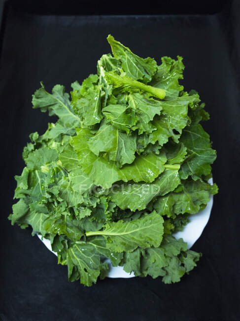 Купа свіжих листя салату на тарілці — стокове фото