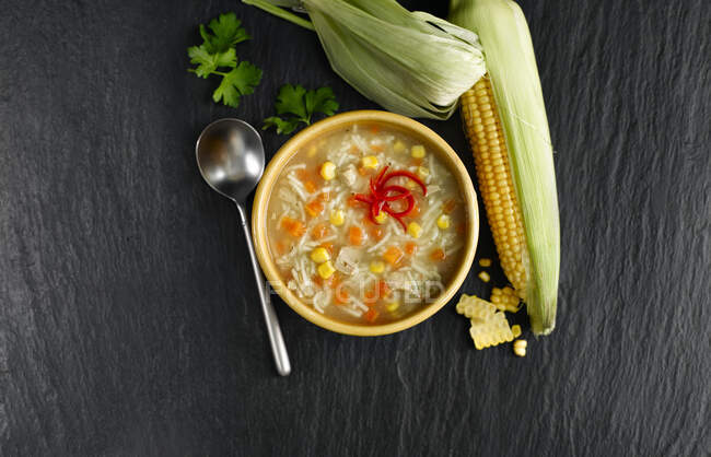 Куриный суп с лапшой и чили — стоковое фото