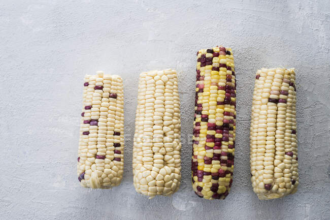 Крупным планом вкусные различные свежие кукурузные початки — стоковое фото