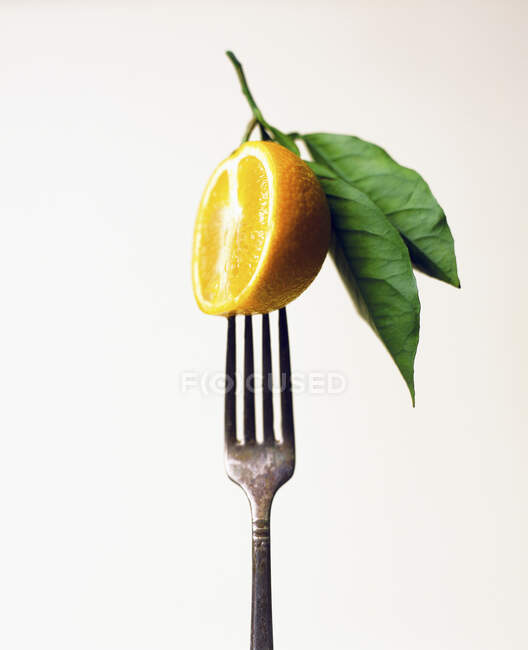 Orange on a fork — Stock Photo