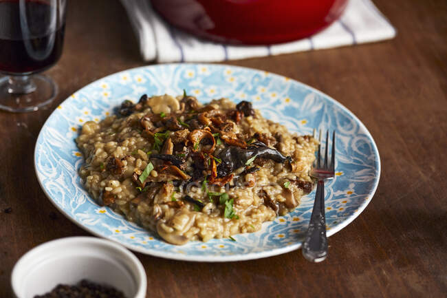 Close-up shot of delicious Mushroom risotto — Stock Photo
