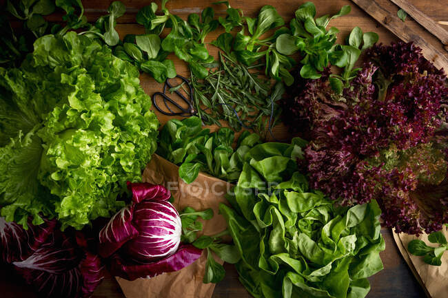Frische grüne Salatblätter auf Holzgrund — Stockfoto