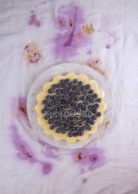 Homemade cheesecake decorated with blueberries — Stock Photo